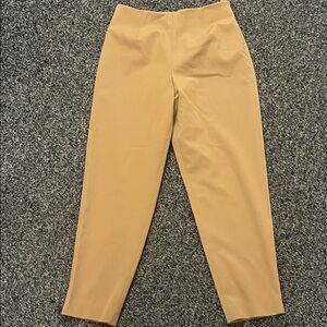 Talbots Tan Stretch Pants